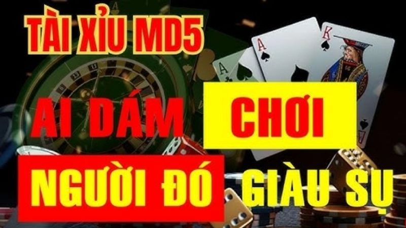 Chiến thuật bất bại khi đặt cược Tài xỉu MD5